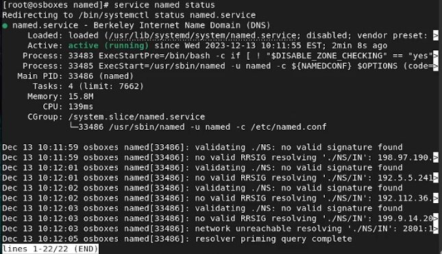 starting the named service